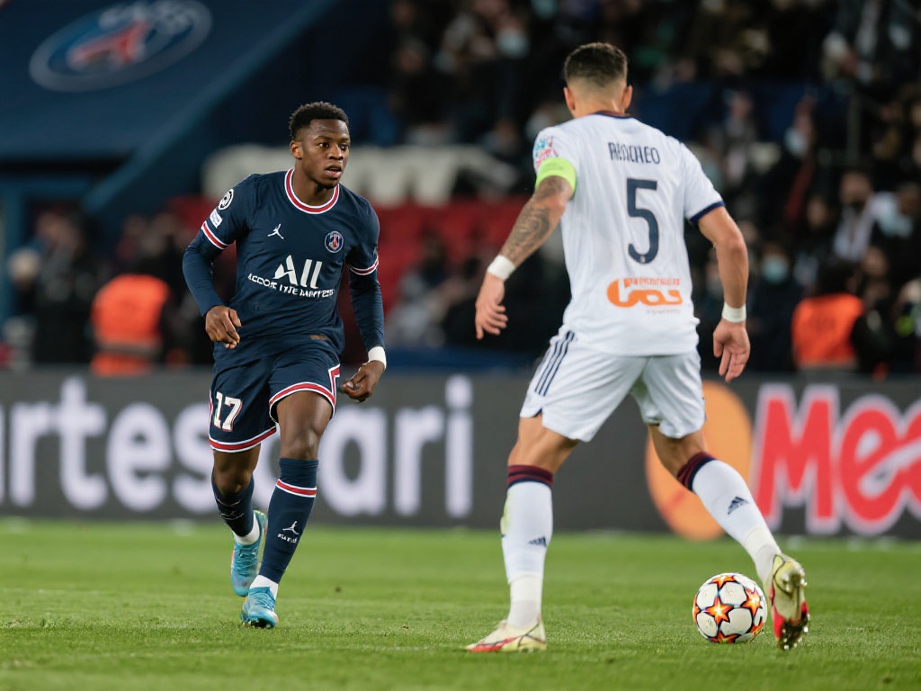 熟悉的场地 熟悉的场地